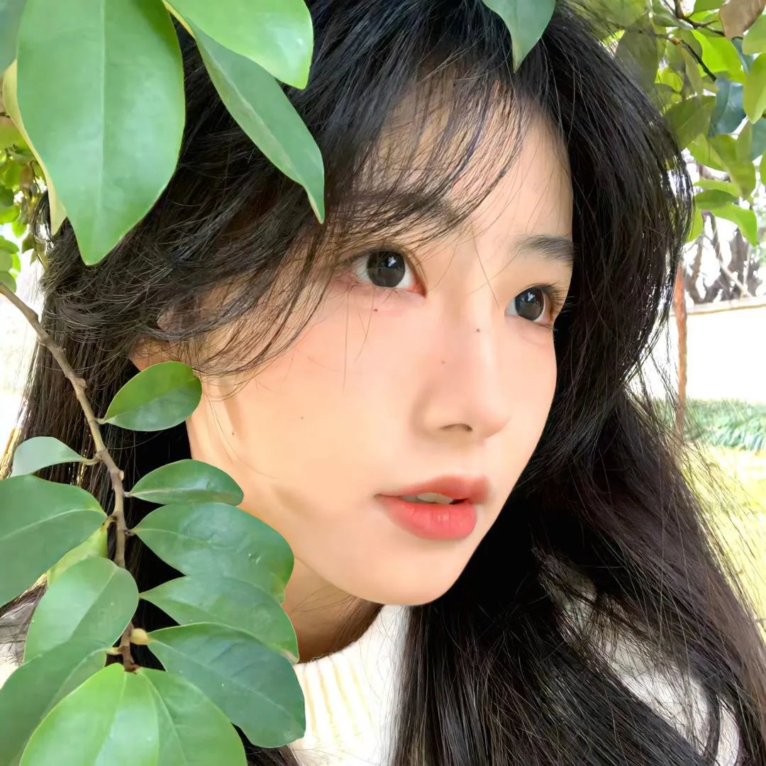李瑞镇的纽约纽约2